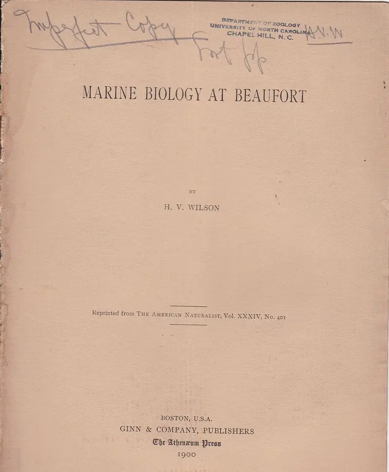 Marine Biology At Beaufort 1