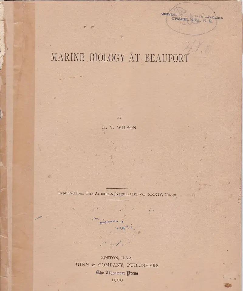 Marine Biology At Beaufort 1