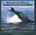 Meeting The Whales: The Equinox Guide To Giants Of The Deep 1