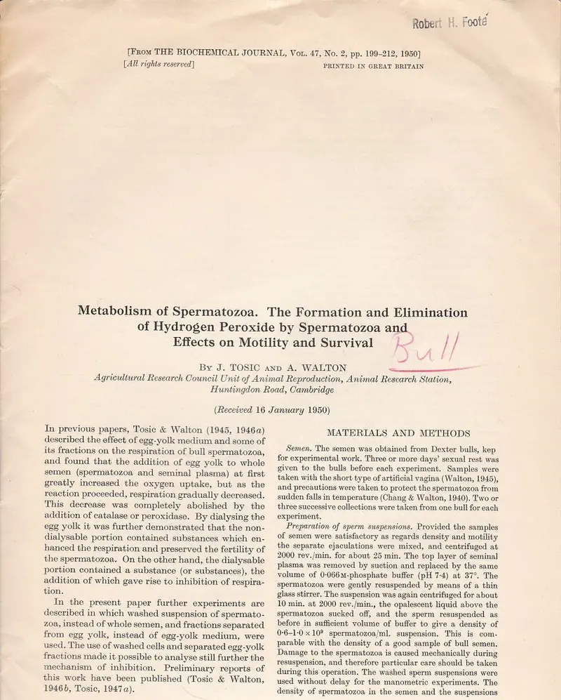 Metabolism Of Spermatozoa. The Formation And Elimination Of Hydrogen Peroxide By Spermatozoa And Effects On Motility And Survival 1