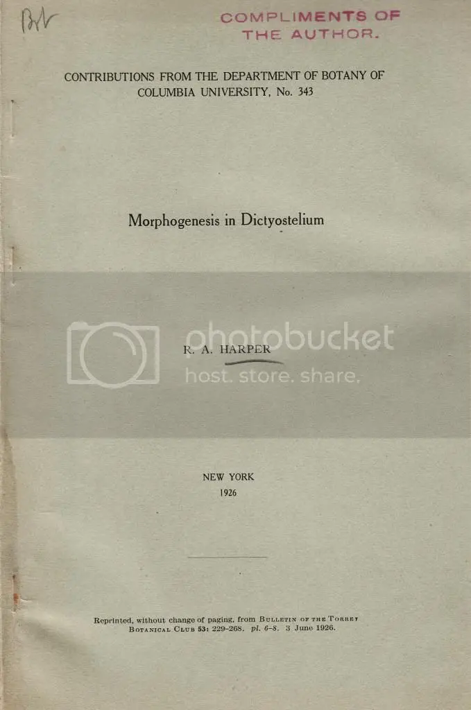 Morphogenesis In Dictyostelium  By Harper, R. A. 1