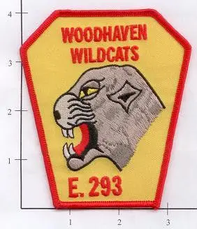 New York City Engine 293 Fire Patch V2 Yellow 1