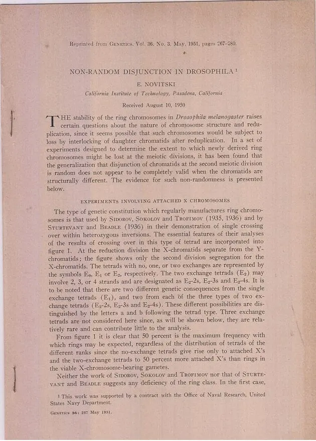 Non-Random Disjunction In Drosophila  By Novitski, E. 1