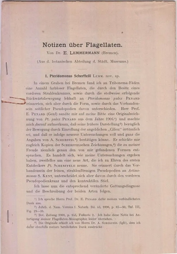Notizen Uber Flagellaten  By Lemmermann, E 1