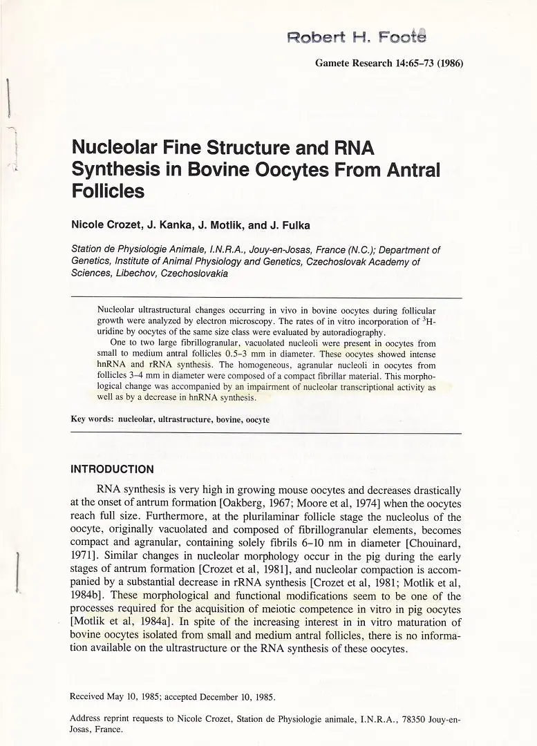 Nucleolar Fine Structure And Rna Synthesis In Bovine Oocytes From Antral Follicles 1