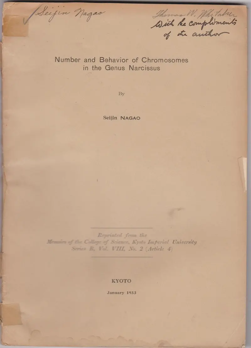 Number And Behavior Of Chromosomes In The Genus Narcissus 1