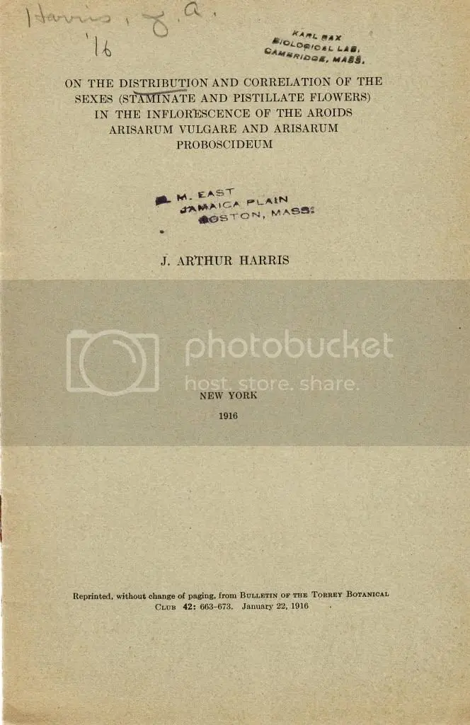 On The Distribution And Correlation Of The Sexes (Staminate And Pistillate Flowers) In The Inflorescence Of The Aroids Arisarum Vulgare And Arisarum Proboscideum By Harris, Arthur 1