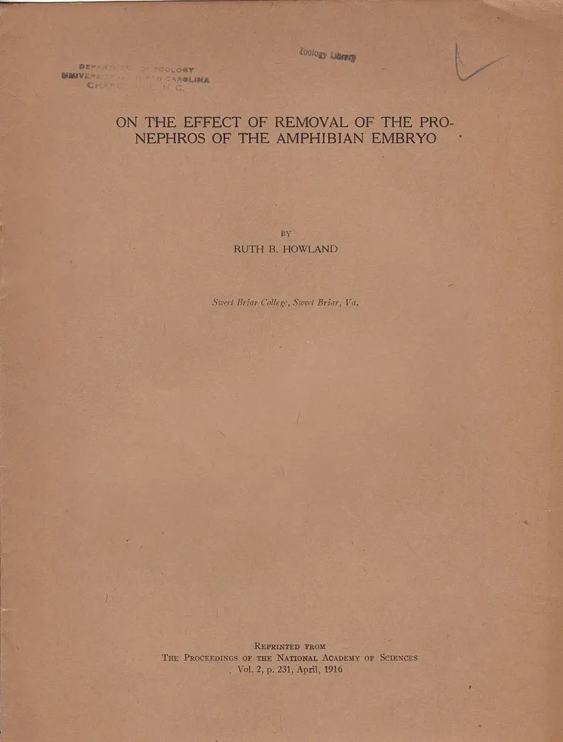 On The Effect Of Removal Of The Pronephros Of The Amphibian Embryo 1