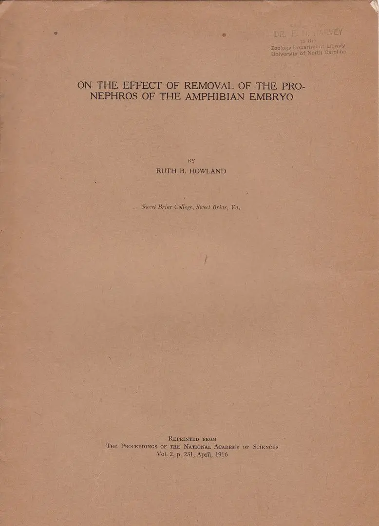 On The Effect Of Removal Of The Pronephros Of The Amphibian Embryo 1