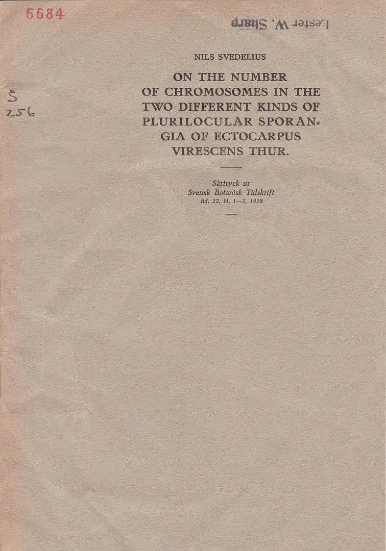 On The Number Of Chromosomes In The Two Different Kinds Of Plurilocular Sporangia Of Ectocarpus Virescens Thur. 1