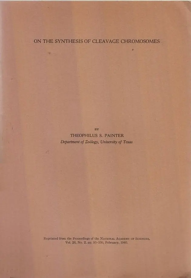 On The Synthesis Of Cleavage Chromosomes  By Painter, Theophilus S. 1