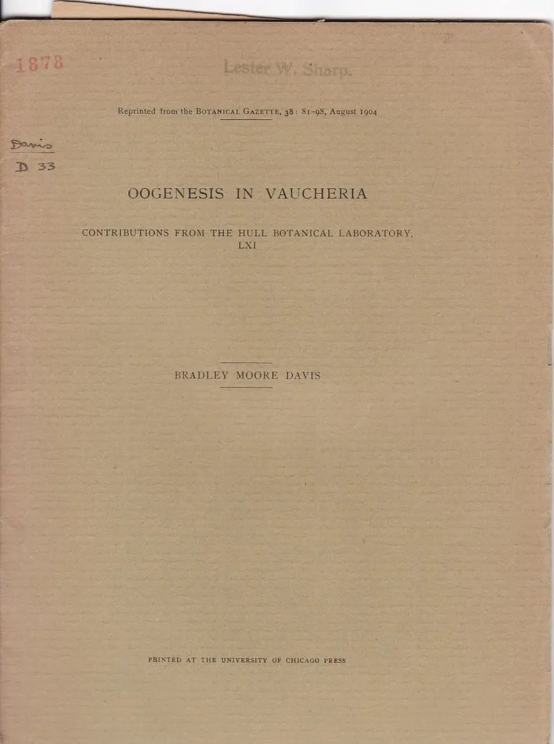 Oogenesis In Vaucheria 1