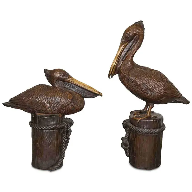 Pair Of Pelicans Sitting & Standing 1