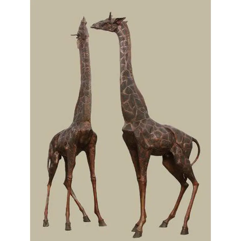 Pair Of Very Tall Giraffes 1