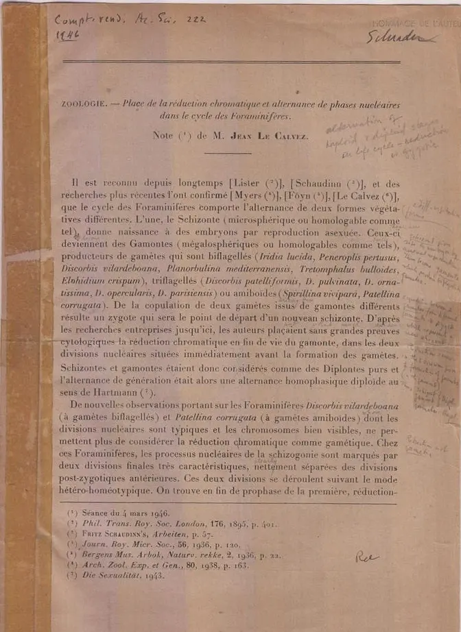 Place De La Reduction Chromatique Et Alternance De Phases Nucleaires Dans Le Cycle De Foraminiferes  By Calvez, Jean Le 1