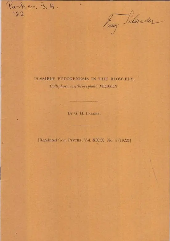 Possible Pedogenesis In The Blow-Fly Calliphora Erythrocephal Meigen  By Parker, G.H. 1
