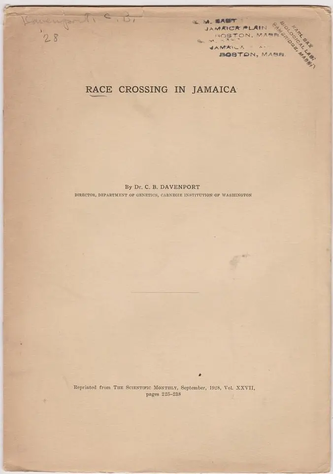 Race Crossing In Jamaica 1