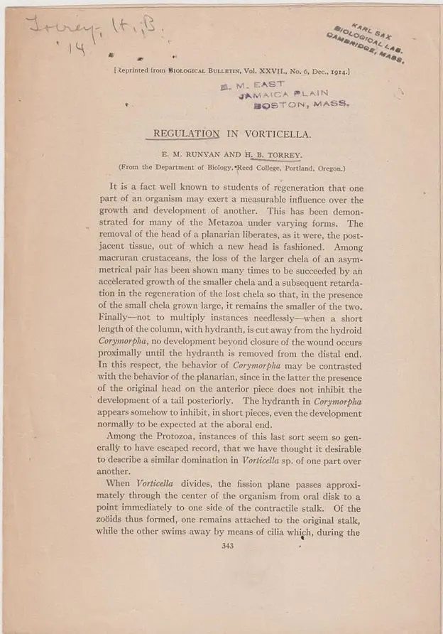 Regulations In Vorticella 1