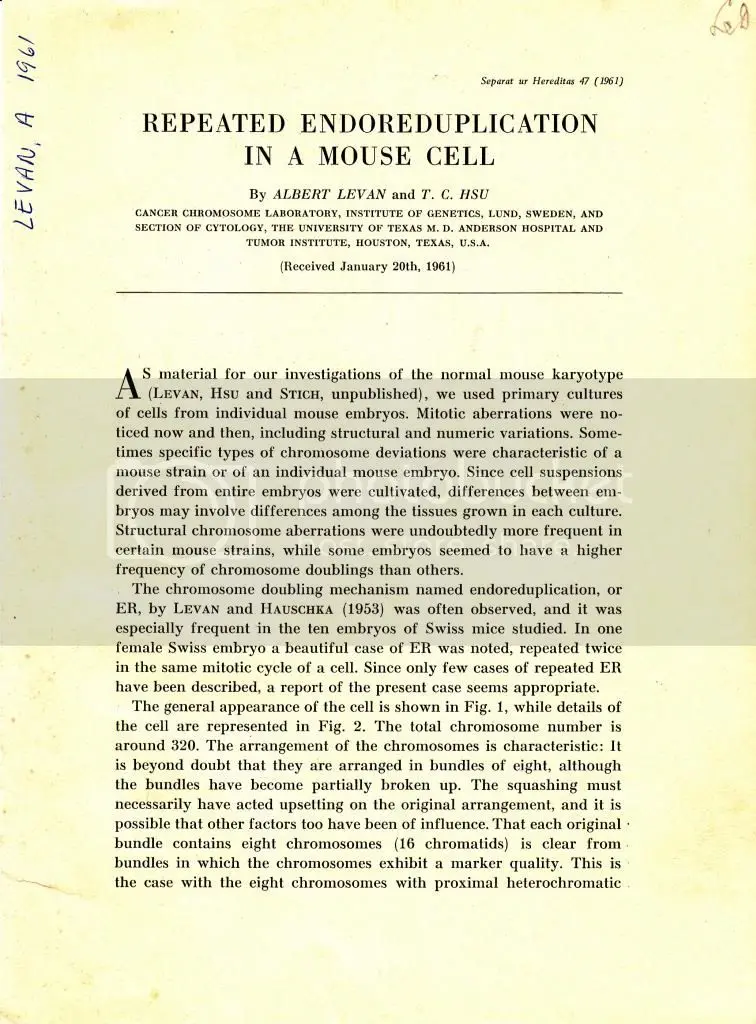 Repeated Endoreduplication In A Mouse Cell  By Hsu, T. C., And Levan, Albert 1