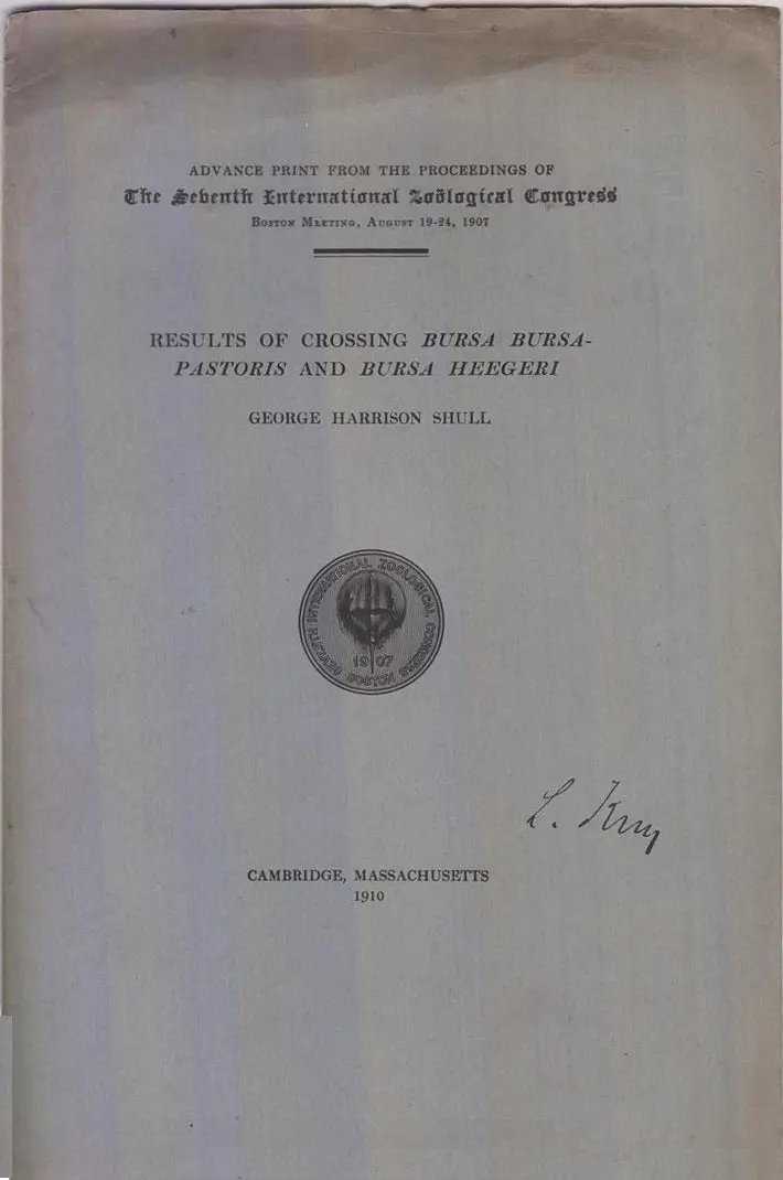 Results Of Crossing Bursa Bursa-Pastoris And Bursa Heegeri  By Shull, George Harrison 1