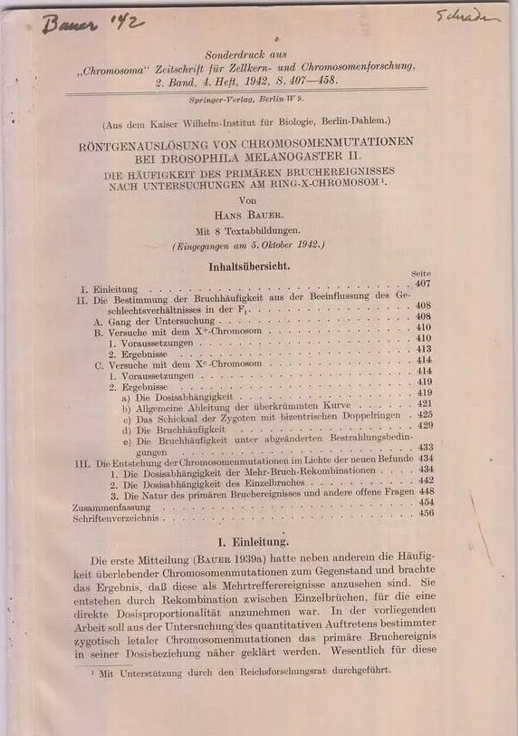 Rontgenauslosung Von Chromosomenmutationen Bei Drosophila Melanogaster Ii. Die Haufigkeit Des Primaren Bruchereignisses Nach Untersuchungen Am Ring-X-Chromosom  By Bauer, Hans 1