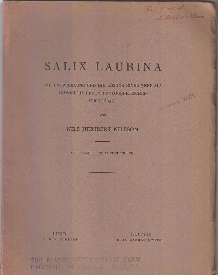 Salix Laurina, Die Entwicklung Und Die Losung Einer Mehr Als Hundertjahrigen Phylogenetischen Streitfrage  By Nilsson, Nils Heribert 1