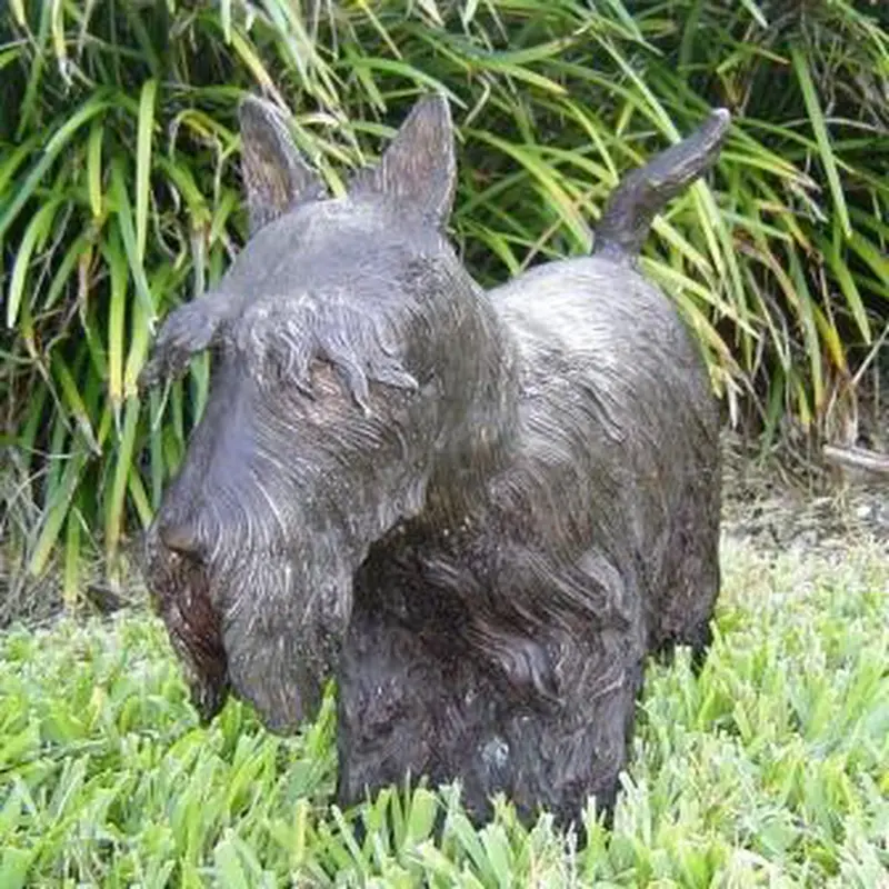 Scottish Terrier Dog 1