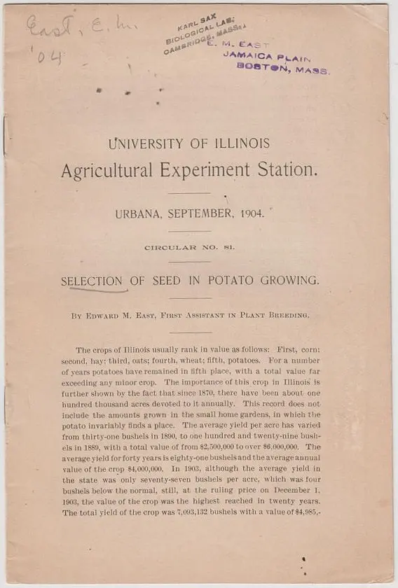 Selection Of Seed In Potato Growing 1