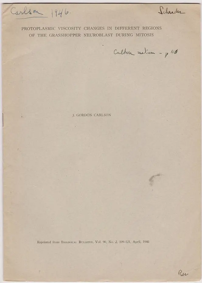 Set Of 3 Various Papers 1