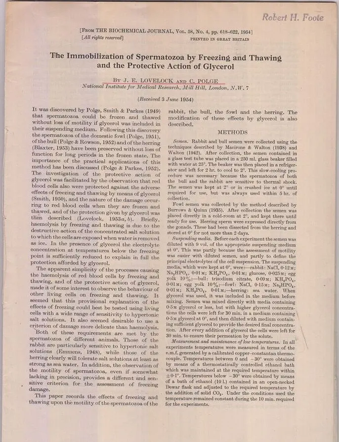 Set Of Six Offprints By C. Polge From 1954 To 1967 By Polge, C. 1