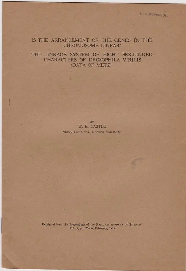 Set Of Twelve (12) Various Offprints From W.E. Castle 1