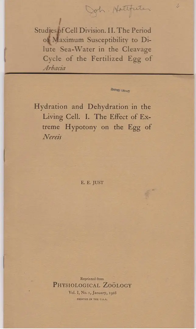 Set Of Two (2) Offprints By E.E. Just From 1928 1