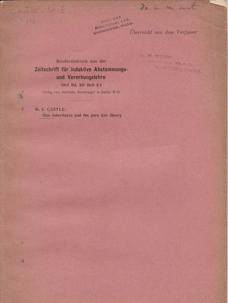 Size Inheritance And The Pure Line Theory 1
