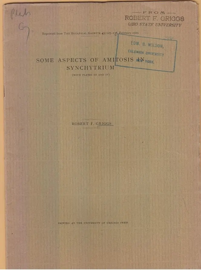 Some Aspects Of Amitosis In Synchytrium By Griggs, Robert F. 1
