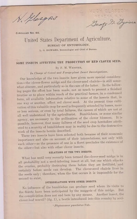Some Insects Affecting The Production Of Red Clover Seed  By Webster, F.M. 1