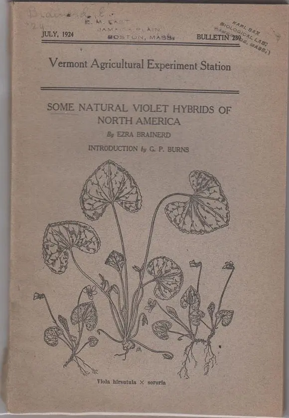 Some Natural Violet Hybrids Of North America 1