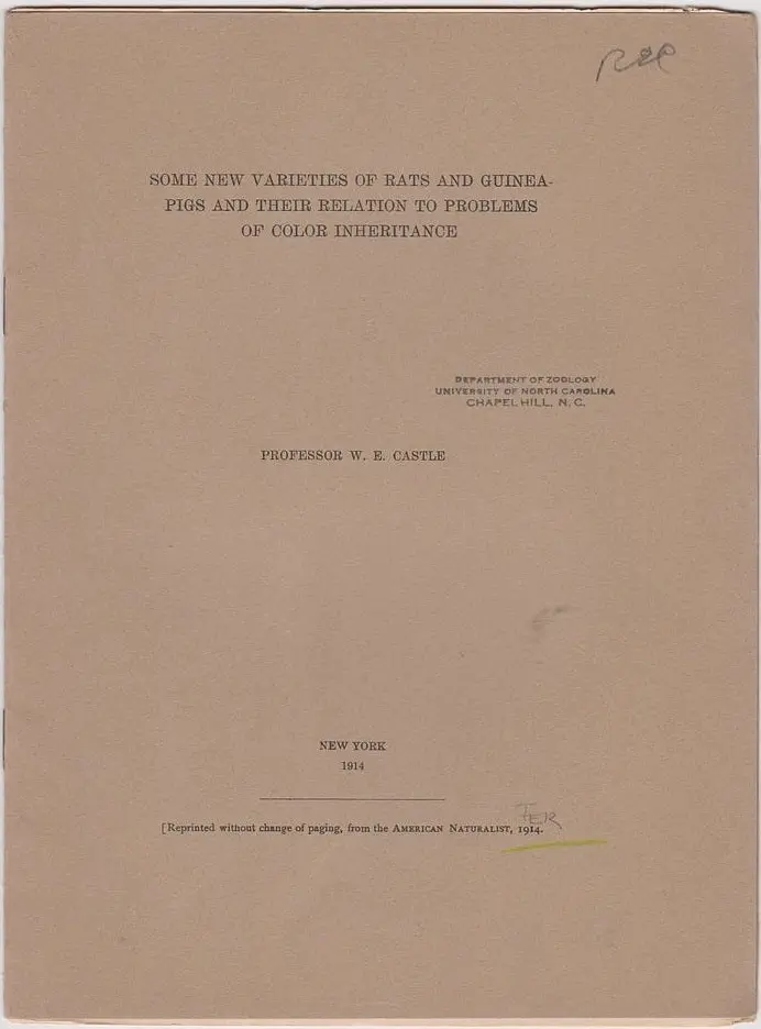 Some New Varieties Of Rats And Guinea Pigs And Their Relation To Problems Of Color Inheritance 1