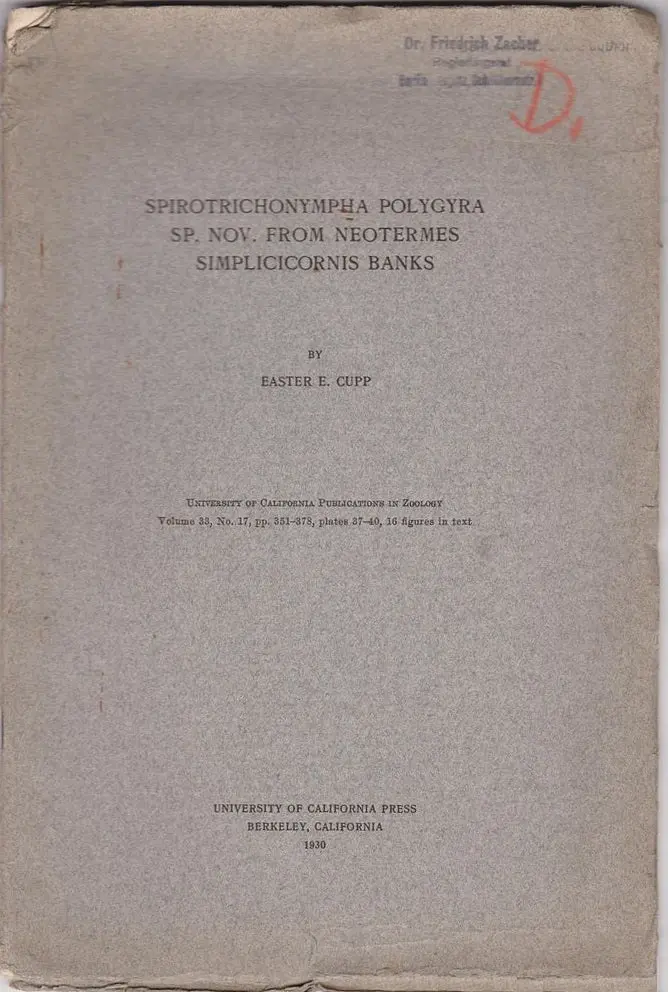 Spirotrichonympha Polygra Sp. Nov. From Neotermes Simplicicornis Banks 1