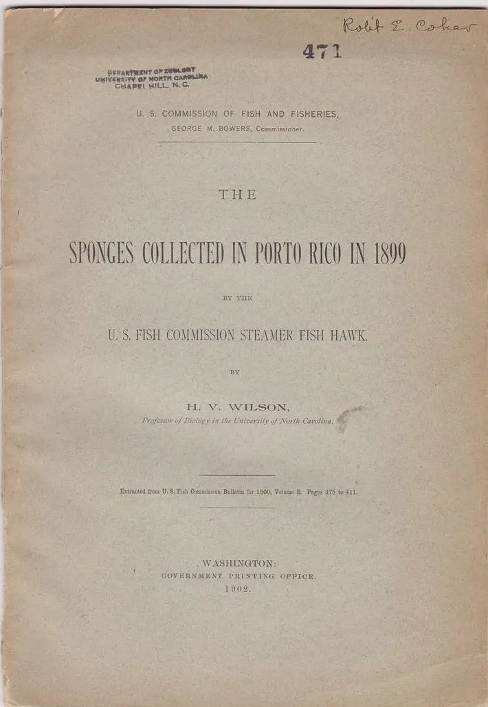 Sponges Collected In Porto Rico In 1899 1