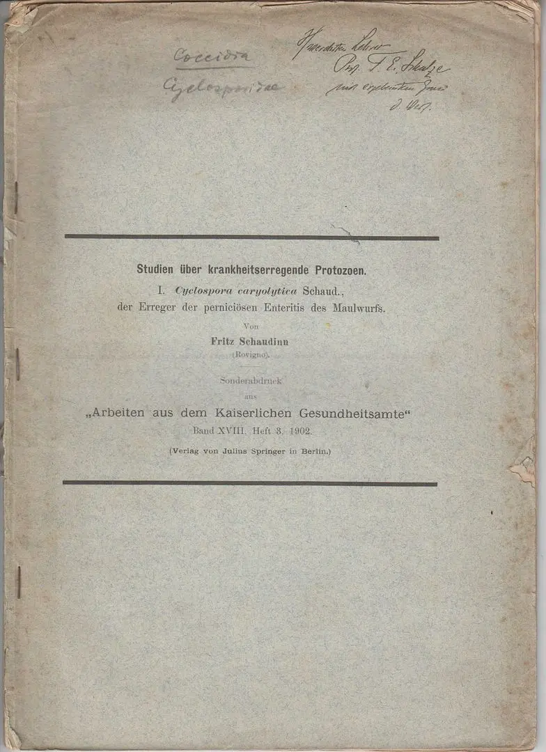 Studien ├Â┬╝Ber Krankheitserregende Protozoen: I. Cyclospora Caryolitica Shaud., Der Erreger Der Pernici├Â┬Âsen Enteritis Des Maulwurfs 1