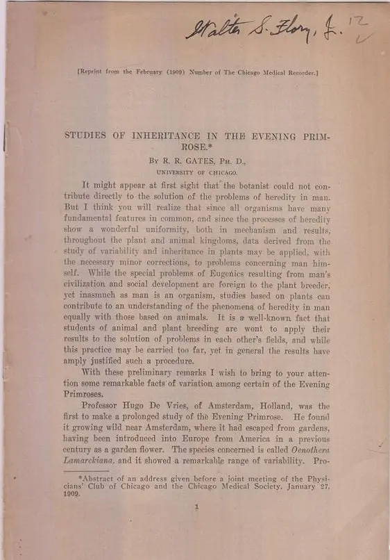 Studies Of The Inheritance In The Evening Primrose  By Gates, R.R. 1