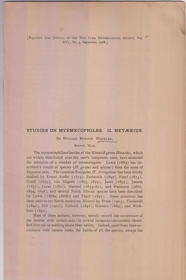 Studies On Myrmecophiles, Ii. Hetaerius  By Wheeler, William Morton 1