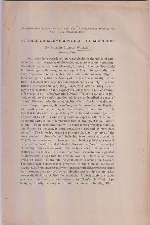 Studies On Myrmecophiles. Iii. Microdon  By Wheeler, William Morton 1