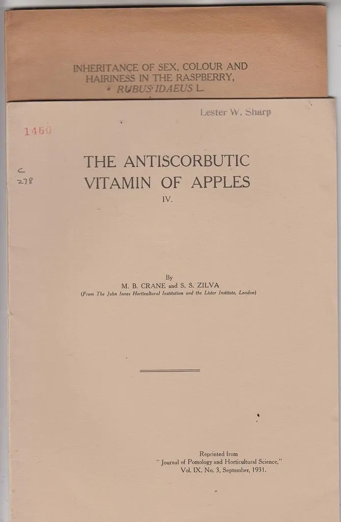 The Antiscorbutic Vitamin Of Apples. Iv And Inheritance Of Sex, Colour, And Hairiness In The Raspberry Rubus Idaeus L. 1