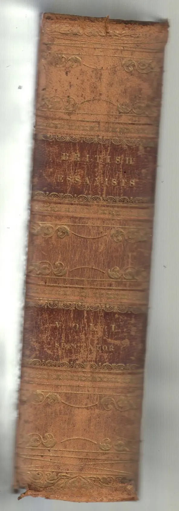 The British Essayists, Containing The Spectator, With Notes And General Index, And The Tatler And Guardian, With Notes And General Index, Vol. 1 1