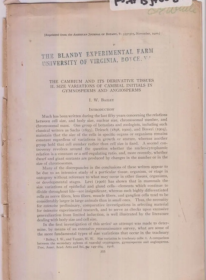 The Cambium And Its Derivative Tissues Ii. Size Variations Of Cambial Initials In Gymnosperms And Angiosperms By Bailey, I.W. 1