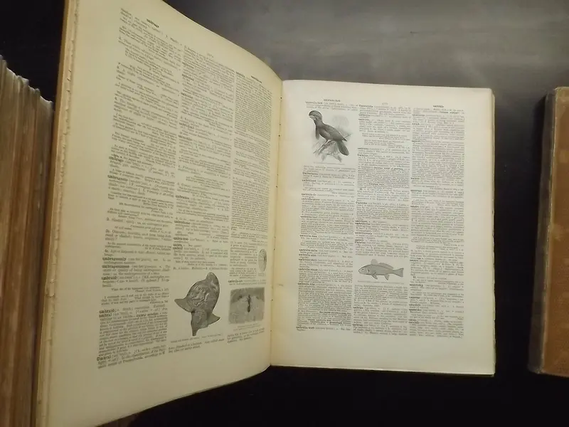 The Century Dictionary: An Encyclopedic Lexicon Of The English Language 1