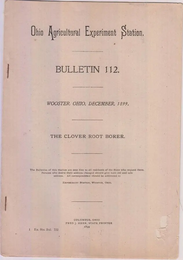 The Clover Root Borer  By Webster, F.M. 1