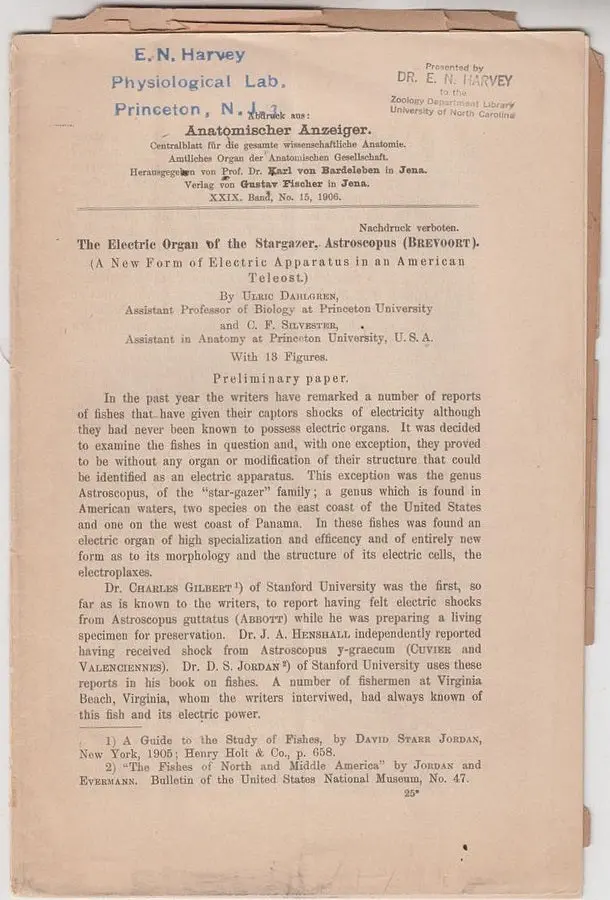 The Electric Organ Of The Stargazer, Astroscopus (Brevoort) 1