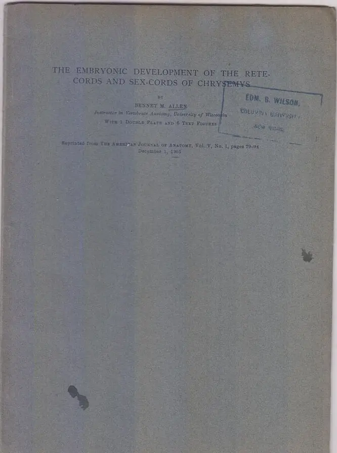 The Embryonic Development Of The Retecords And Sex-Cords Of Chrysemys  By Allen, Bennet M. 1